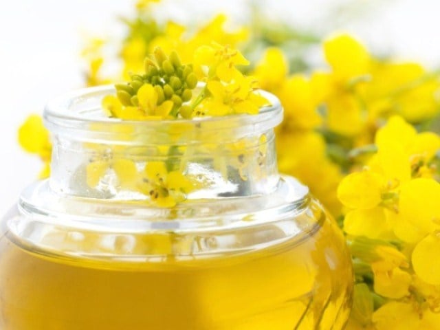 canola-oil