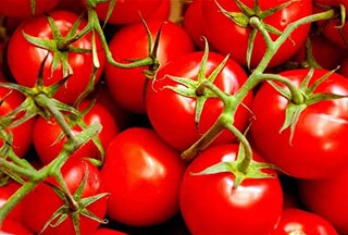 C3B26N Tomatoes.