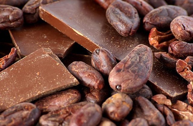 Theobroma cacao (2)