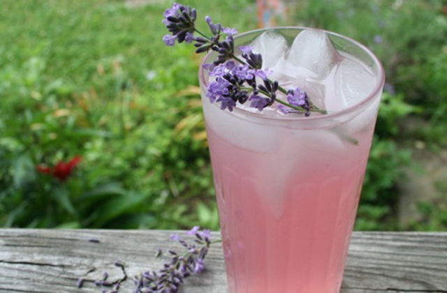 lavanda limonad (1)