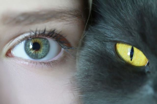 human-and-cat-eyes.jpg.838x0_q80.jpg.pagespeed.ce_.9uM-tIJbKZ