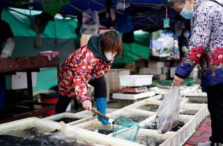 ԱՀԿ-ում COVID-19-ի ի հայտ գալը կապում են Չինաստանում կենդանիների վաճառքի հետ. Bloomberg