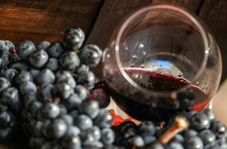 Ռուսաստանը վերսկսել է Վրաստանից խաղողի ներմուծումը