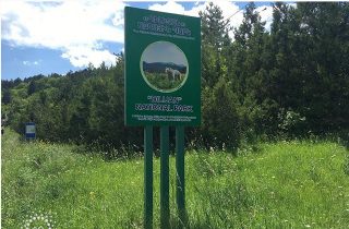 Օտարերկրացին մոլորվել էր Դիլիջանի անտառում