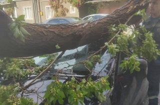 Նախօրեին ուժեղ քամուց ծառեր և էլեկտրասյուները են տապալվել. Բազմաթիվ մեքենաներ են վնասվել Երևանում