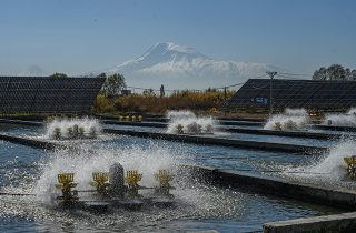 Հայկական բարձրորակ ձուկն ու ձկնկիթը կարտահանվեն