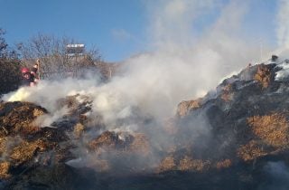 Այրվել է մոտ 500 հակ անասնակեր