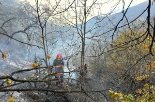 Խոշոր հրդեհ Սյունիքի մարզի Ծավ գյուղի անտառամերձ հատվածում