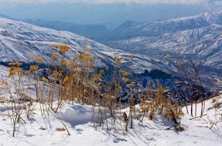 Ինչ եղանակ է սպասվում առաջիկա օրերին