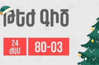 Առողջապահության նախարարության թեժ գիծն աշխատելու է նաև տոնական օրերին` 24 ժամ ռեժիմով