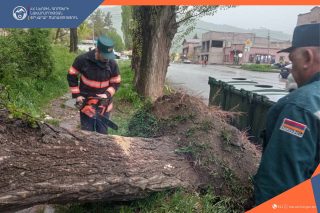 Քամու հետևանքով Երևանում, Վանաձորում, Իջևանում վնասվել են տանիքի թիթեղներ, տապալվել ծառեր