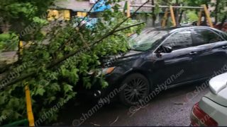 Երևանում ուժեղ քամու հետևանքով ծառի ճյուղը պոկվել և ընկել է կայանված «Toyota Camry»-ի վրա