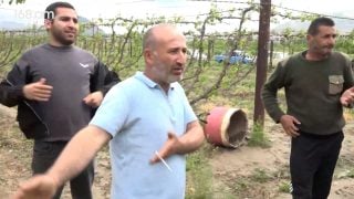 Ախպեր ջան, բերեք շաբաթը մեկիս դնենք վարչապետ, 5 տարում կդառնանք միլիարդատեր. այգեգործ