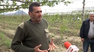 Անասուն ասեմ՝ կպնելու են ինձ, էս ի՞նչ ղեկավար են, էս ո՞նց են մտածում. այգեգործ