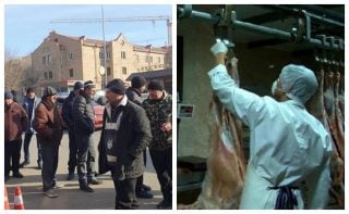 «Սպանդանոցների հարցը պետք է լուծեն, թե չէ մարդիկ հիասթափվում, անասուն չեն պահում, որովհետև վերջում գլխացավանքի մեջ են ընկնում». Շիրակցի