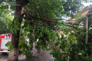 Քամու հետևանքով գրանցվել է արտակարգ 10 դեպք. փրկարարներն արձագանքել են բոլոր ահազանգերին՝ ցուցաբերելով համապատասխան օգնություն