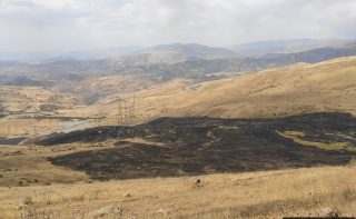 Հրդեհի հետևանքով բուսական աշխարհին պատճառված վնասի փաստով ԲԸՏՄ-ն հաղորդում է ներկայացրել Քննչական կոմիտե