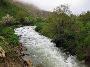 Փրկարարները քաղաքացուն դուրս են բերել Ողջի գետից