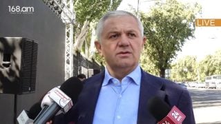 Քաղաքական գործիքակազմերից պարտադիր պետք է օգտվել՝ անկախ արդյունքներից. Մամիկոն Ասլանյան