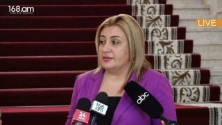 Կառավարությունը ձախողել է նաև առողջապահական ծրագրերը, ուստի պետք է հեռանա. Անուշ Պողոսյան