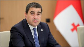 Պապուաշվիլին Թբիլիսիում տեղի ունեցածի համար մեղադրել է երկրում Գերմանիայի դեսպանին
