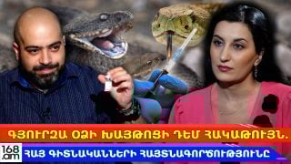 Հայ գիտնականները գյուրզայի խայթոցի դեմ հակաթույն են ստացել․ ուզբեկականը լավը չէ