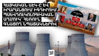 Հայկական ԱԷԿ-ը և իրարանցում Իգդիրում. պսևդոէկոլոգիական աղմուկ՝ հեռուն գնացող նպատակներով
