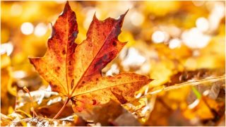 Օդի ջերմաստիճանը կբարձրանա Օդի ջերմաստիճանը կբարձրանա