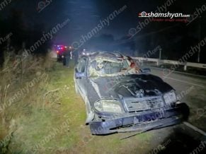 Գեղարքունիքում «Mercedes»-ը բախվել է ճանապարհի երթևեկելի գոտում հայտնված ձիnւն