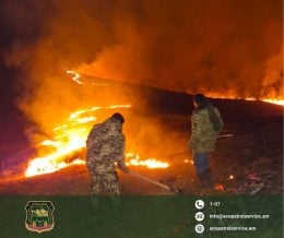 Ճամբարակ-Թթուջուր հատվածում բռնկված հրդեհը տարածվել է Գետիկի անտառպետության որոշ պահաբաժիններում՝ այրելով խոտածածկ և ծառեր