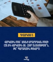 Պետությունը, որն իր քաղաքացիներին թողնում է ապրել վարկով, իսկ իր տնտեսությունը՝ առանց արտադրական հիմքի, դառնում է պարտքային տնտեսություն. «Միասնության թևեր»
