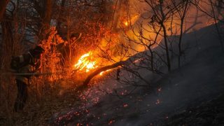 Հրդեհները նույնիսկ հանգցնելուց հետո միտում ունեն նորից բռնկվելու․ «Բնապահպանի տուն»