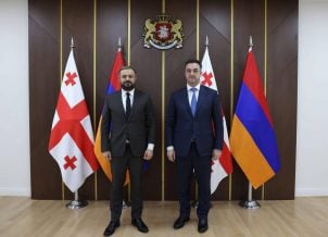 Հարգելի՛ կոնյակագործներ, այս 83 բեռնատարներն էլ կարող են Գեզի անցակետից գնալ Վերին Լարս. Պապոյանը հրապարակել է ցանկը