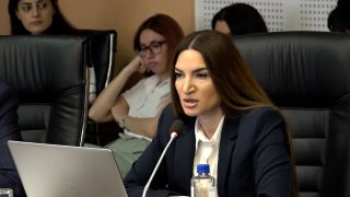 «Կարծում եմ՝ այս վարույթը ճակատագիր չունի, բայց ոչինչ չենք բացառում և ցանկացած շրջադարձի պատրաստ ենք». Արմինե Ֆանյան