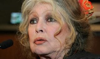 Բրիջիդ Բարդոն կրկին հոսպիտալացվել է Տուլոնում