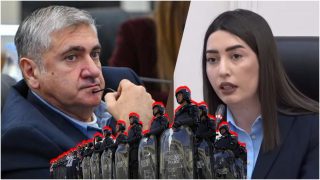 Չի կարող ոստիկանը չունենալ անհրաժեշտ ավտոպարկ և սպառազինություն. Արփինե Սարգսյան