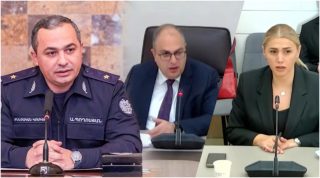 ՔԿ նախագահն ասում էր՝ կա «ահաբեկչության» պլան՝ գործի նյութերում նման բան չկա. Էլինար Վարդանյան