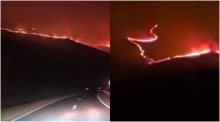 Ճամբարակ-Թթուջուր հատվածում այրվել է խոտածածկ տարածք․ հրշեջ-փրկարարներին հաջողվել է կանխել կրակի տարածումը