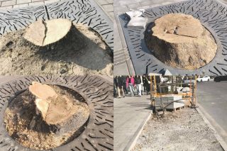 Աշխարհում ոչ մի ազգ նման ջանասիրությամբ ինչքաոչնչացմամբ դեռ չի զբաղվել. Աննա Մկրտչյան