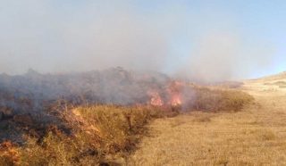 Խոշոր հրդեհ այս անգամ Լոռիում. հրդեհաշիջման աշխատանքներին մասնակցում են նաեւ կամավորներ, բնակիչներ