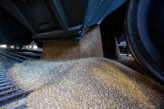 Մինչև 2026-ի հունվարի վերջը Ադրբեջանի և Վրաստանի տարածքով ՀՀ կհասնի 132 վագոն ցորեն. քննարկվում են նաև այլ բեռների մատակարարումներ․ ՌԴ տրանսպորտի նախարարություն