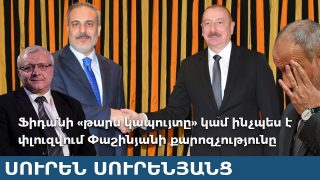 Ֆիդանի «թարս կապույտը» կամ ինչպես է փլուզվում Փաշինյանի քարոզչությունը