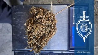 49-ամյա տղամարդը հողամասում մարիխուանա է պահել և օգտագործել