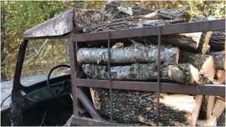 Ապօրինի ծառահատման դեպքը բացահայտվել է