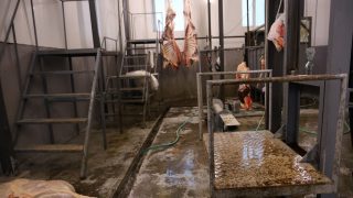 Սպանդանոցի արտադրական գործունեությունը կասեցվել է