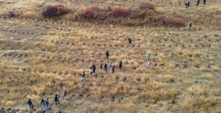 Ծառատունկ՝ հանուն Հայաստանի