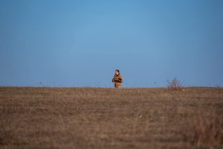 Պաշտոնական ապա/տեղեկատվության մասին. Դավիթ Գալստյան