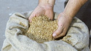 Որտեղի՞ց է Հայաստանը հացահատիկ ներկրում. 10 ամսվա ամփոփում