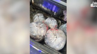 Ջրային պարեկները հայտնաբերել են սիգ տեսակի 110 ձուկ