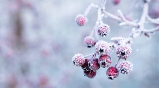 Օդի ջերմաստիճանը զգալիորեն կբարձրանա